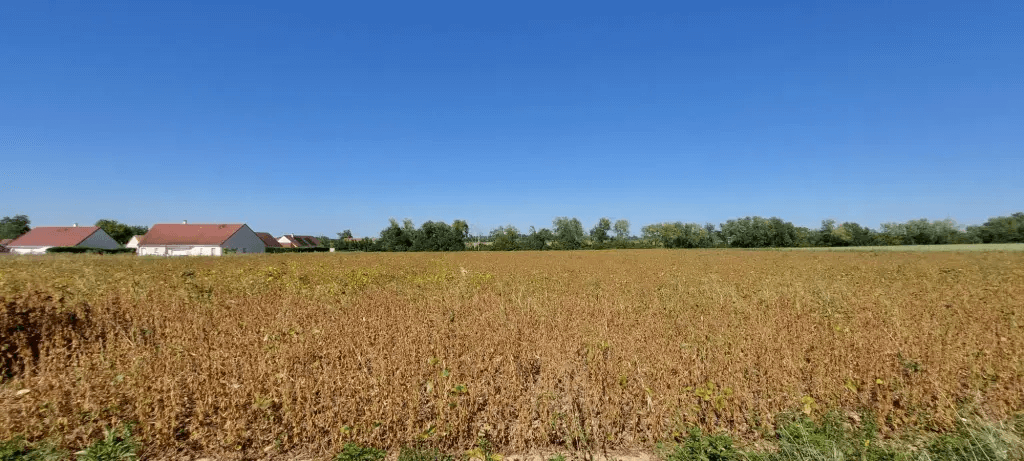 terrain-à-vendre-Ciel