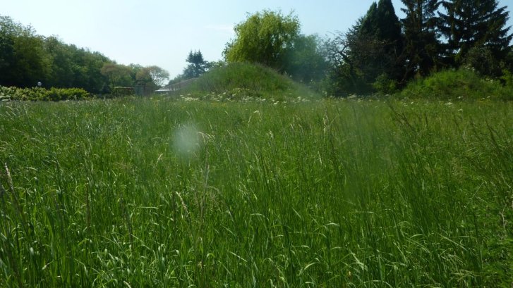 Chagny « Terrain A Bâtir Route de Givry » Avec visibilité
