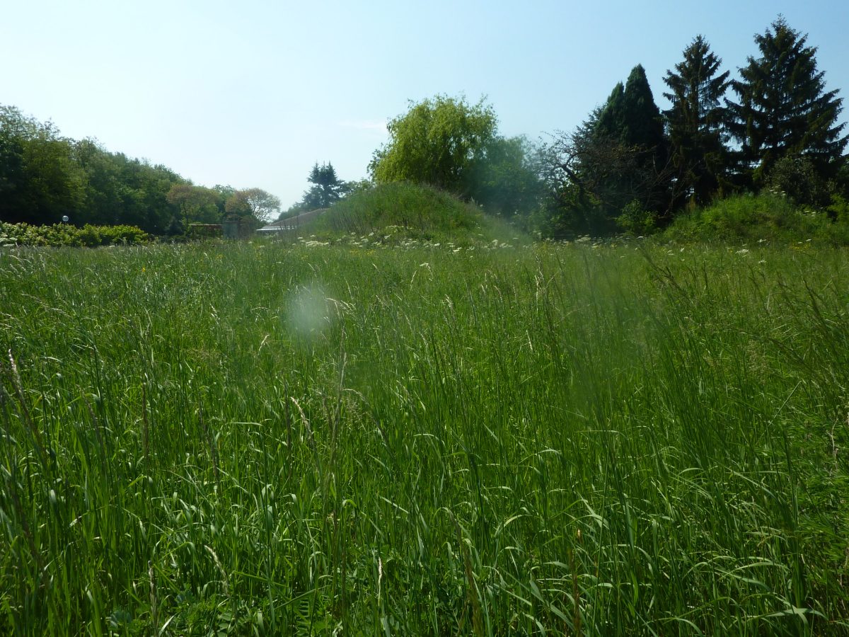 Chagny « Terrain A Bâtir Route de Givry » Avec visibilité