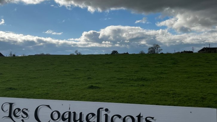 TERRAIN-SAINT-REMY-1200x900